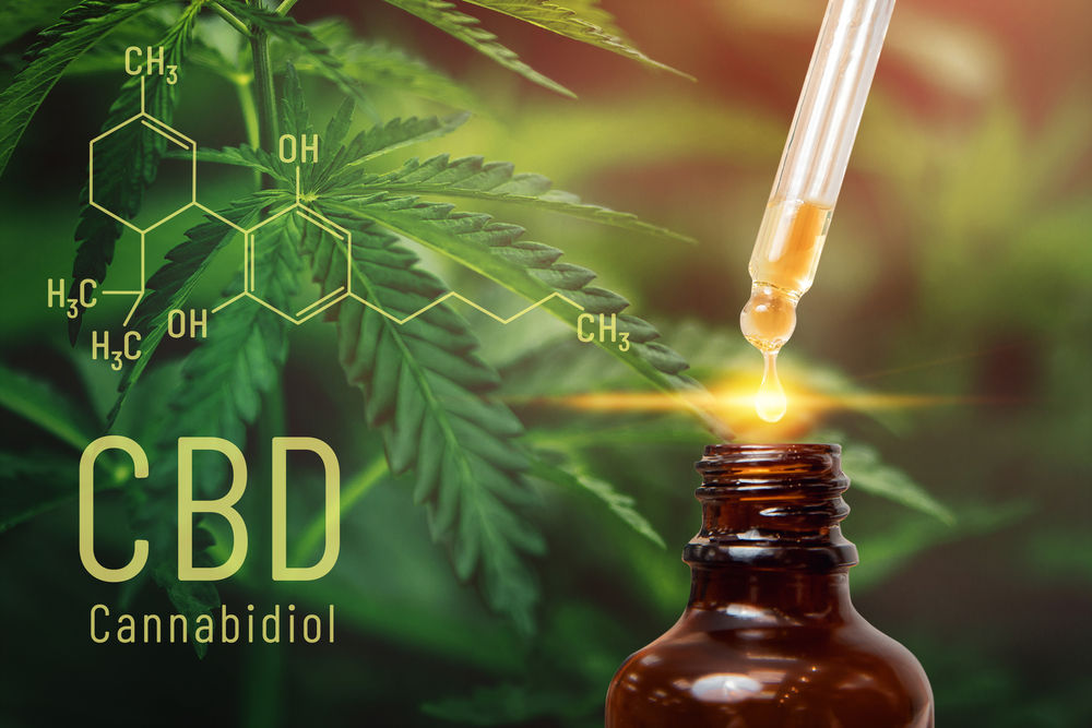 The Various Benefits Of Cbd Oil That People Should Know About