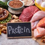 A Look at the Top Protein-Rich Foods