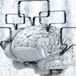 Working Out Both Sides Of Your Brain