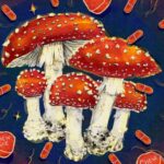 Exploring the Psychedelic World of Amanita Muscaria Gummies and MushBomb: A Safe Adventure