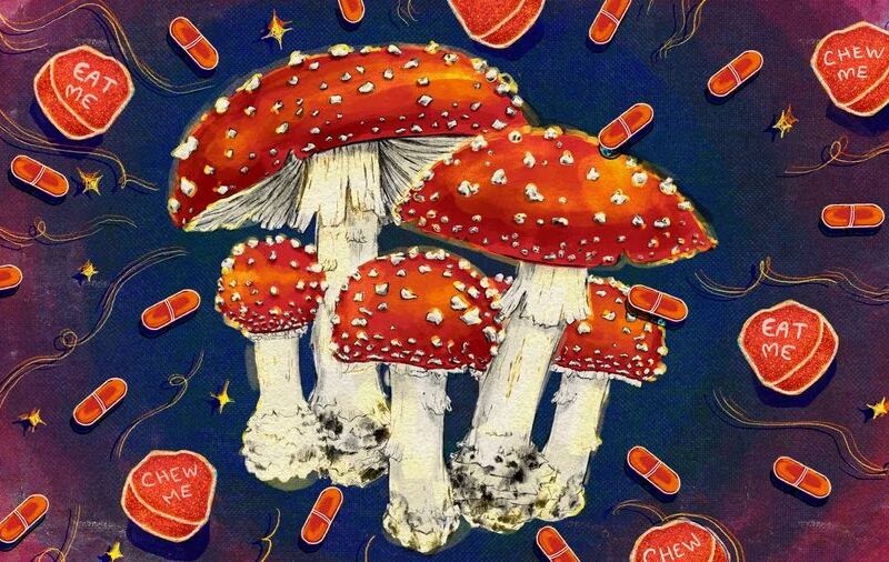 Exploring the Psychedelic World of Amanita Muscaria Gummies and MushBomb: A Safe Adventure