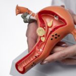 When to Transition from an OBGYN to a Fertility Specialist in Singapore